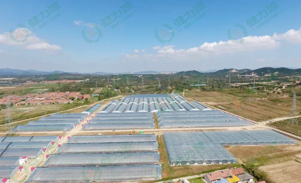 健力源青島生態(tài)農(nóng)場(chǎng)航拍圖.jpg